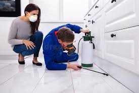 Real Estate Pest Inspections in Schriever, LA